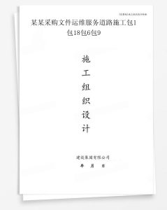 某采购文件运维服务道路施工包1包18包6包9